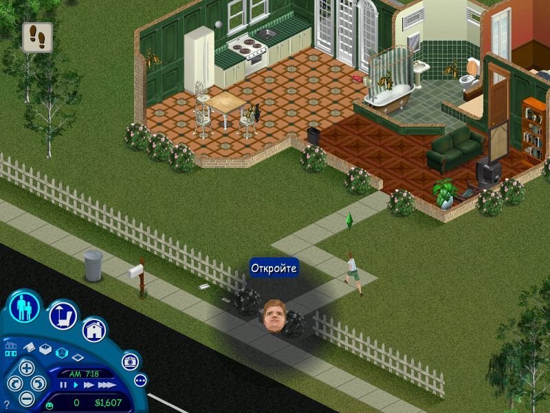 Sims 1