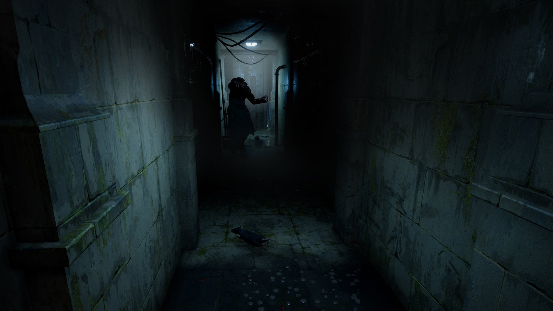 Horror Tales: The Wine