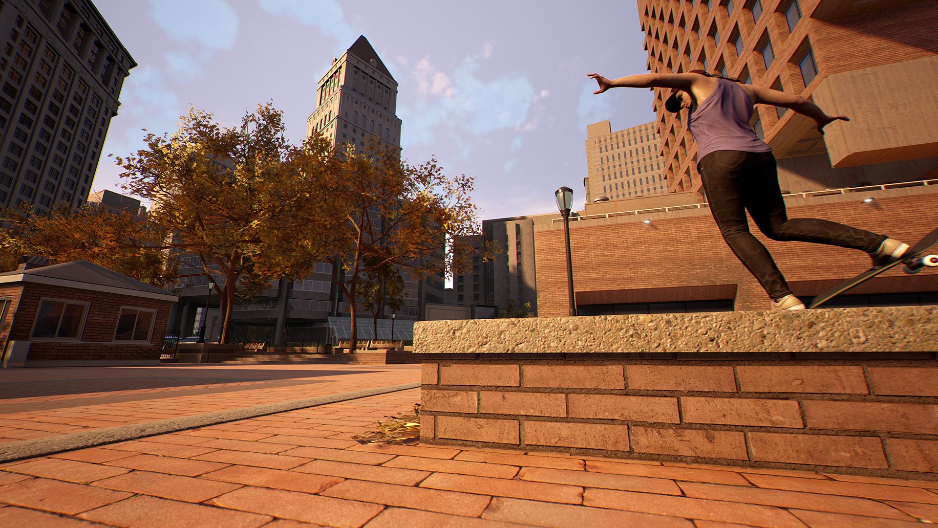 Session: Skateboarding Sim Game