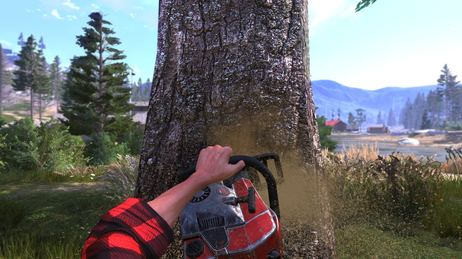 Lumberjack’s Dynasty