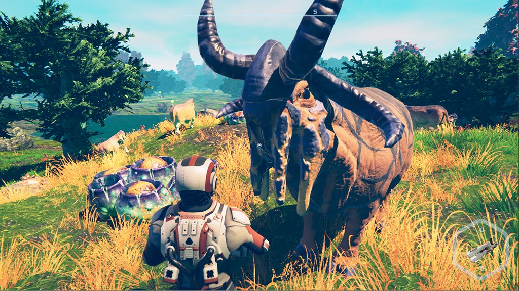 Planet Nomads
