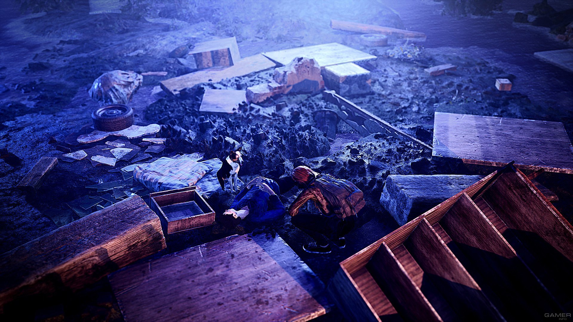 The Day After