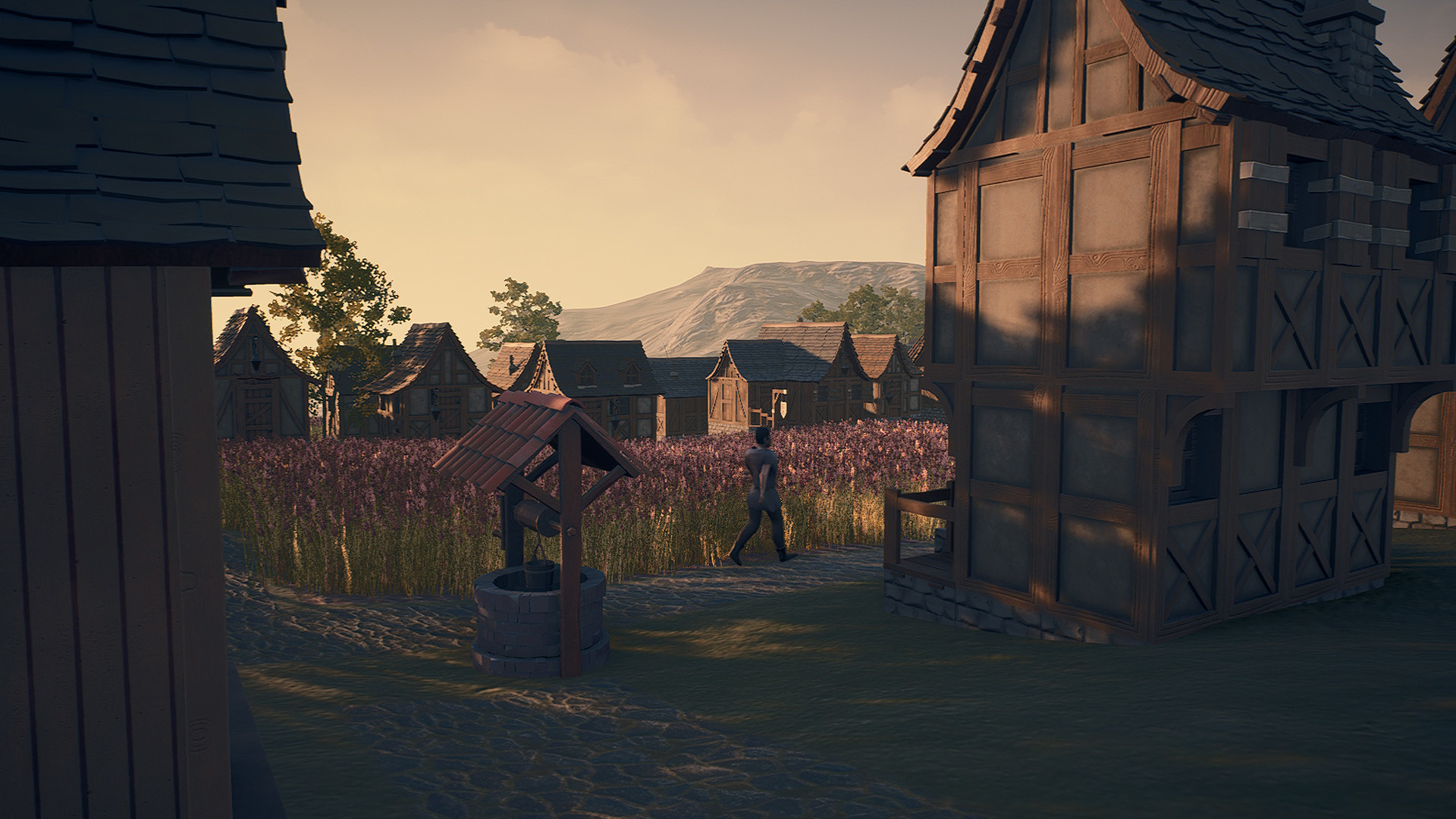 New Home Medieval Village