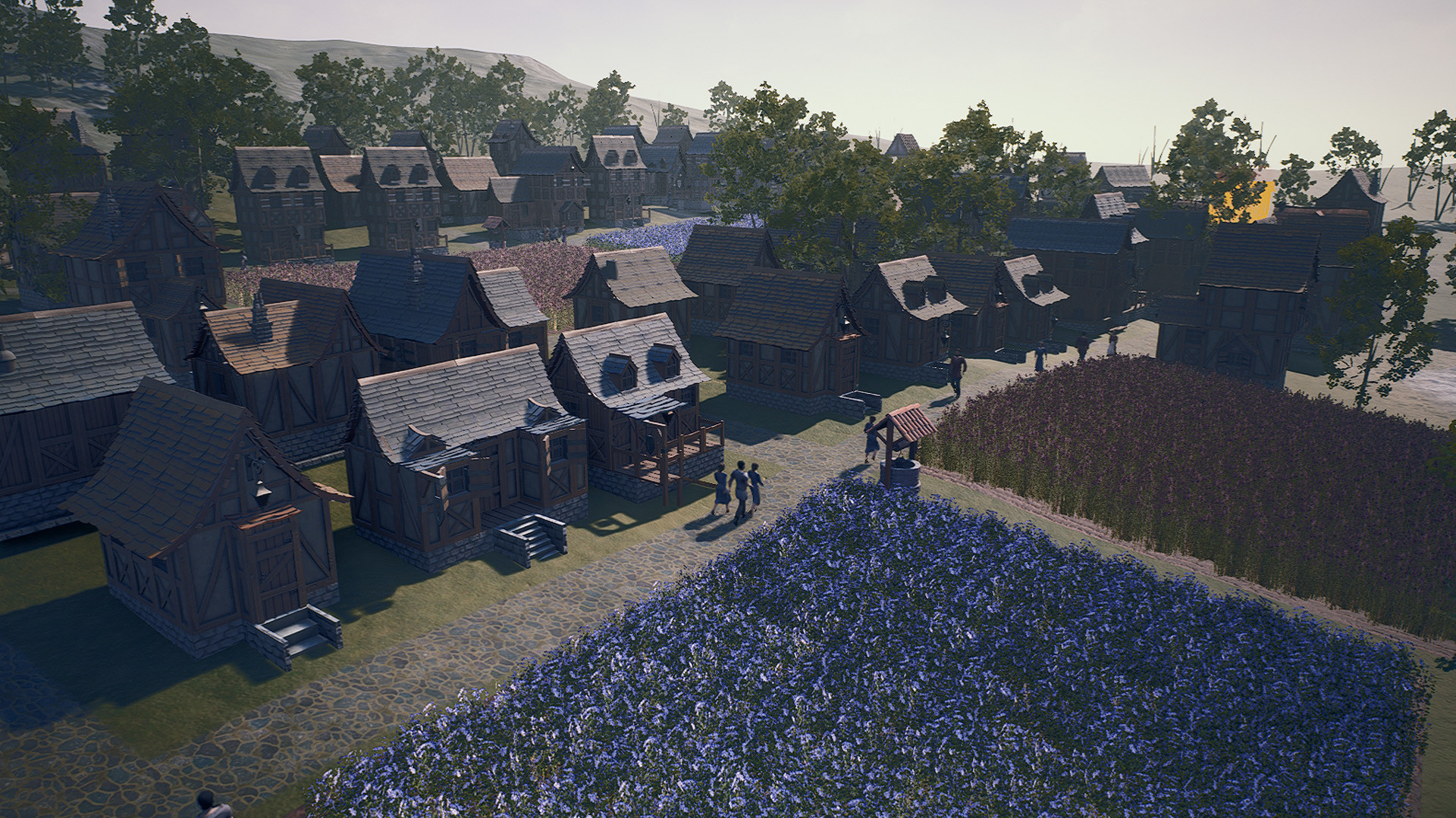 New Home Medieval Village