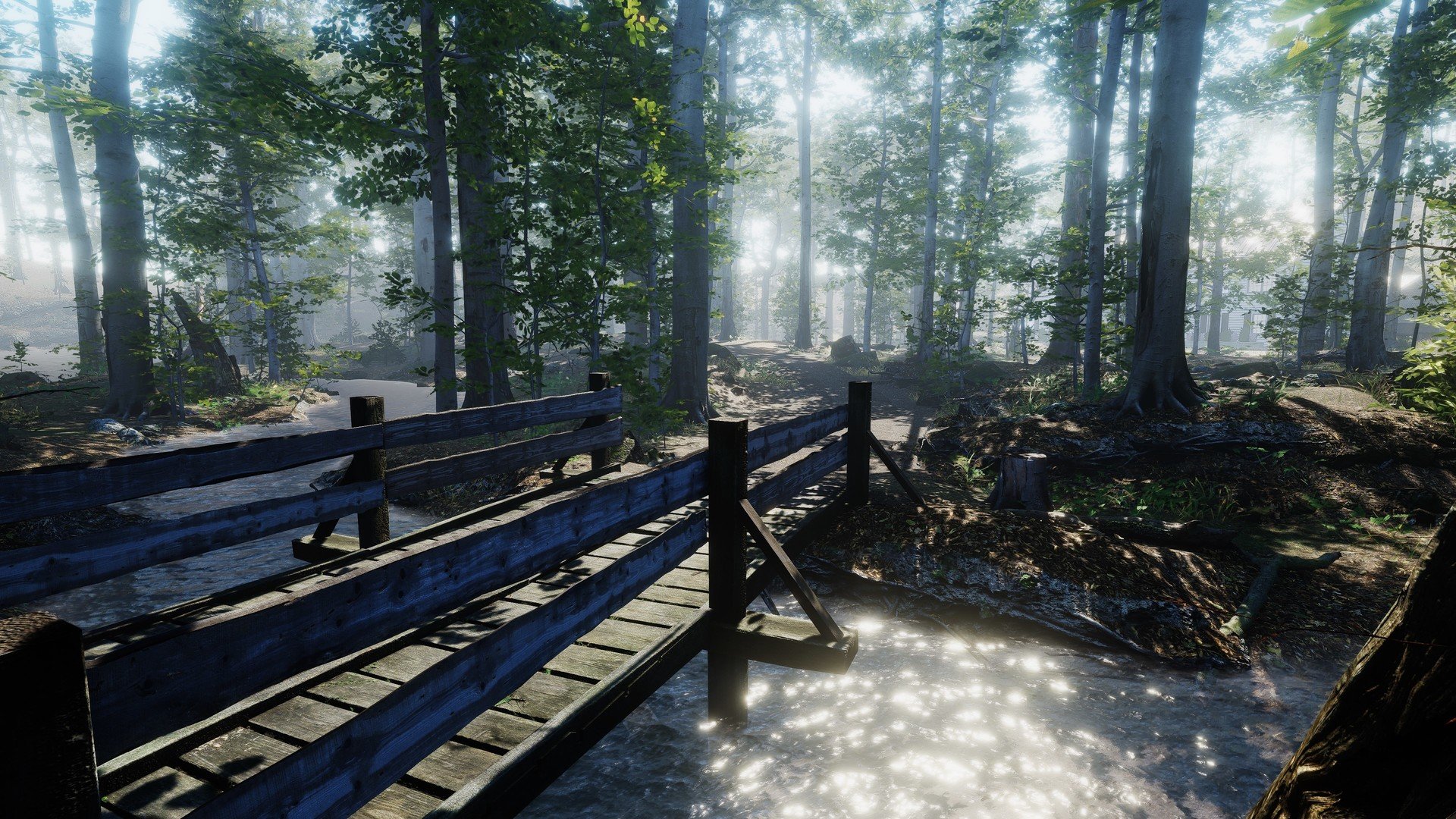 The House in the Forest