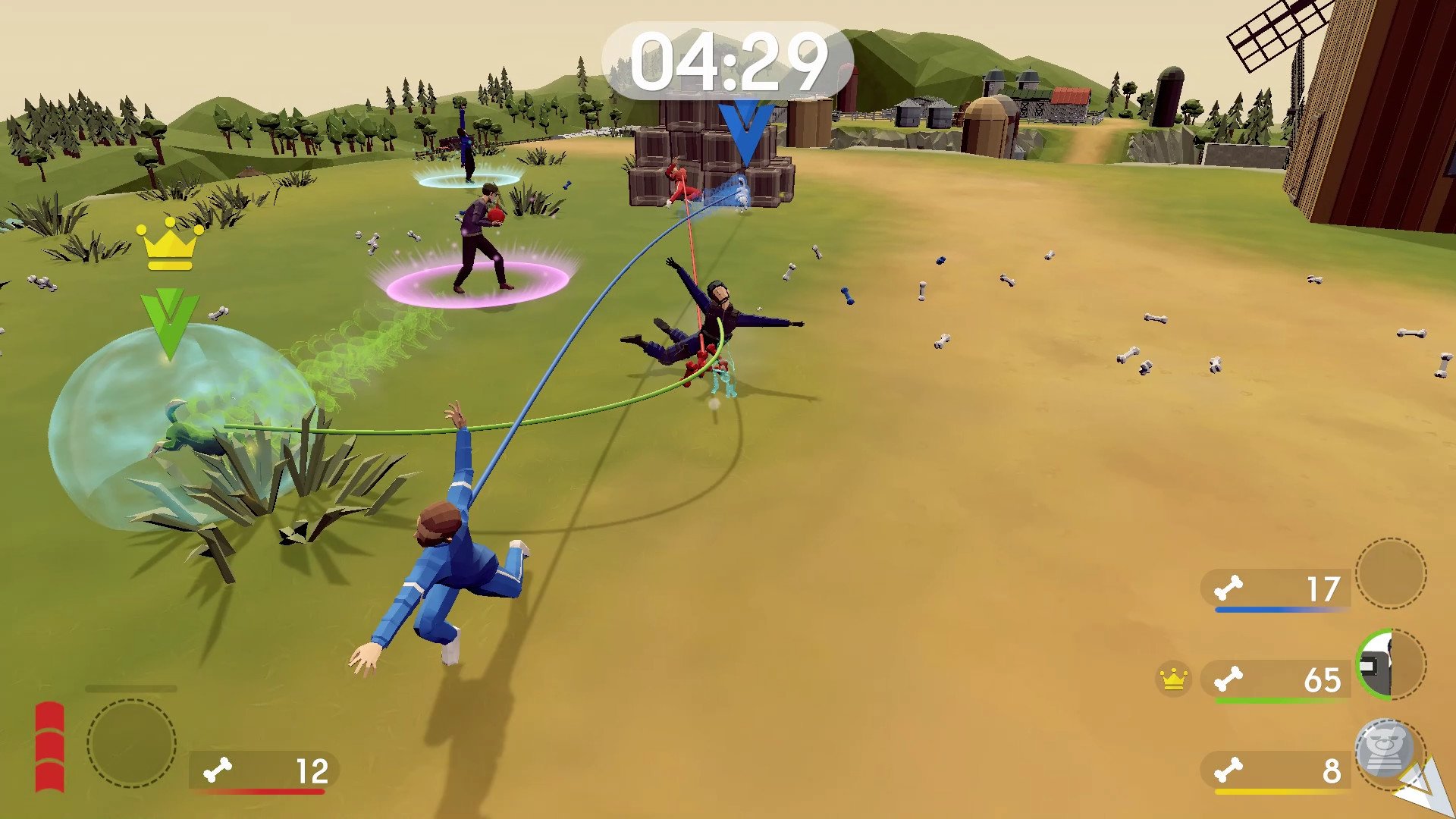 PLAY DOG PLAY TAG