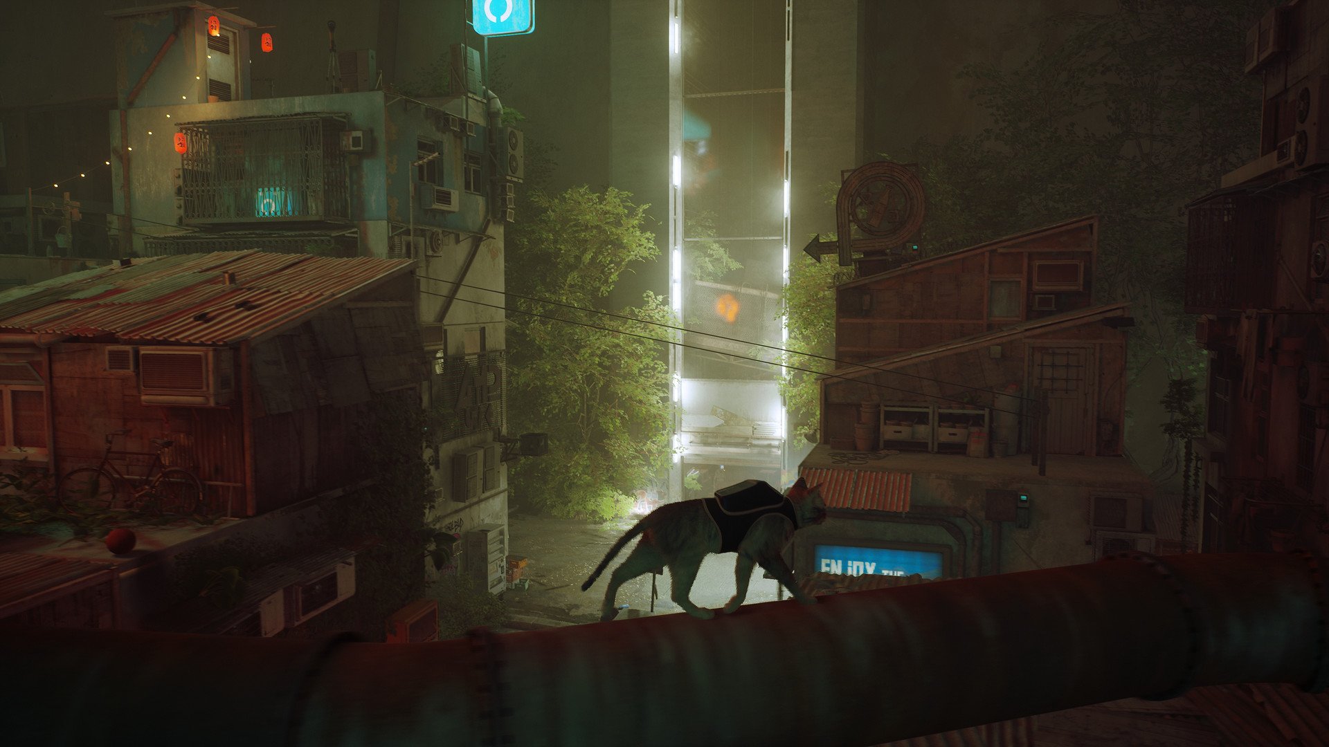 stray
