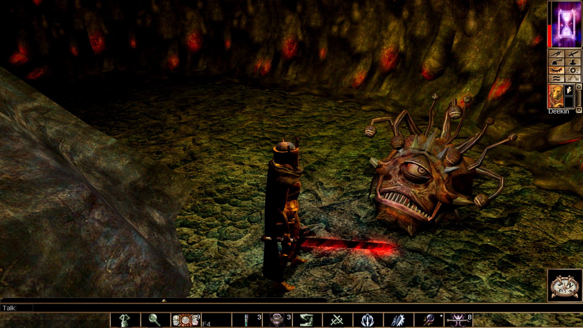 Neverwinter Nights