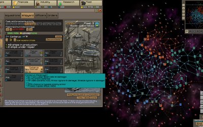 Stellar Monarch