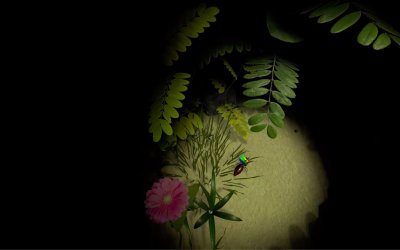 AntQueen 3D