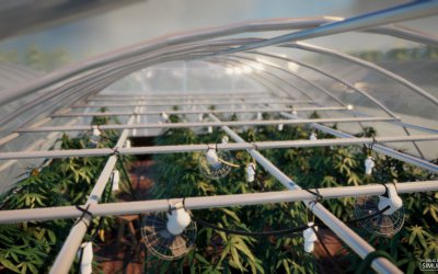 Drug Grower Simulator