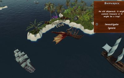 Pirate Dragons