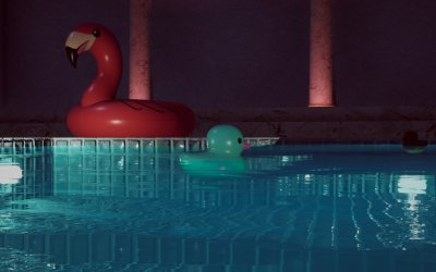 Placid Plastic Duck Simulator