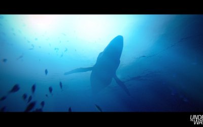 Under The Waves