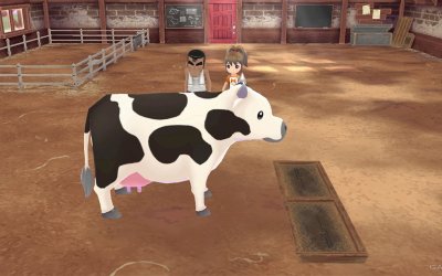 Story of Seasons: A Wonderful Life