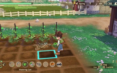 Story of Seasons: A Wonderful Life