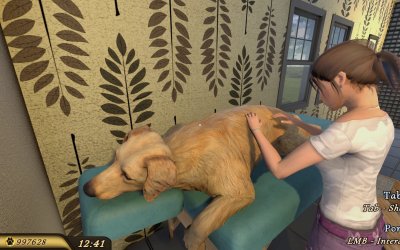 Pets Hotel