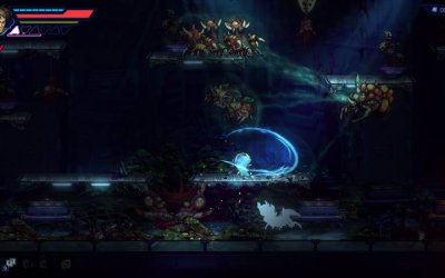 Anima Flux