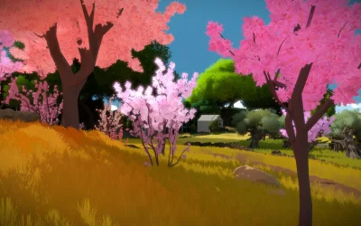 The Witness