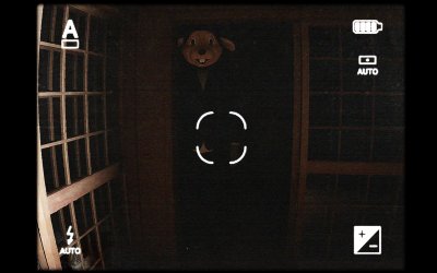Cursed Digicam