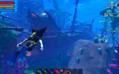 Critter Cove