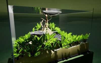 Fish Game