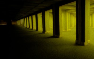 The Backrooms: Mass Extinction