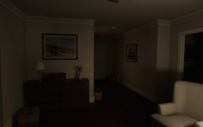 The New Apartment