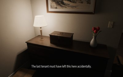 The New Apartment