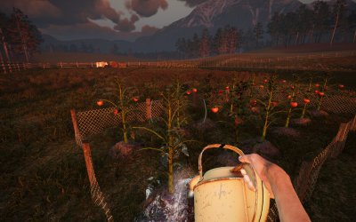 We Harvest Shadows