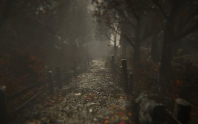 Wounded - The Beginning