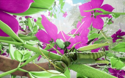 Nature And Life - Drunk On Nectar