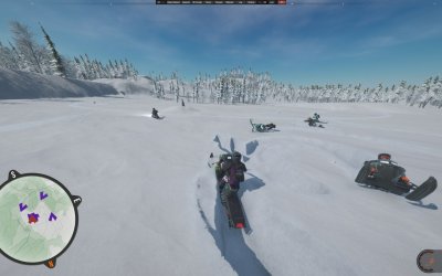 Sledders