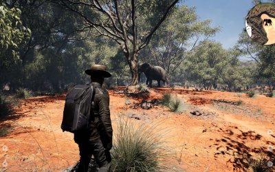 Wild Explorer