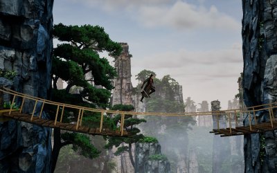 the Shadow of Swallow