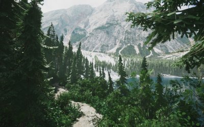 Lushfoil Photography Sim