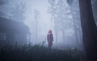 Veil of the Skies