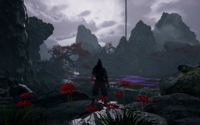 Echoes of Yi: Samsara