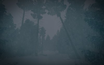 The Last Ski Trip