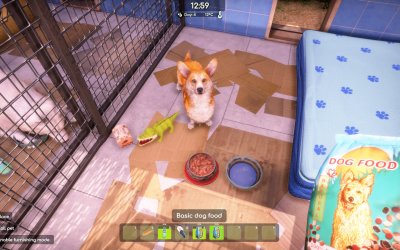 Animal Shelter 2