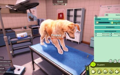 Animal Shelter 2