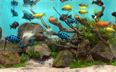 Behind Glass: Aquarium Simulator