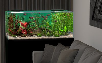 Behind Glass: Aquarium Simulator
