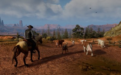 Cowboy Life Simulator