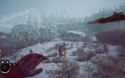 Winter Survival Simulator