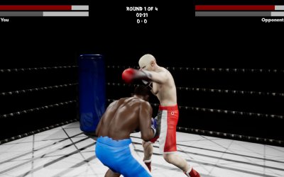 Boxing Simulator