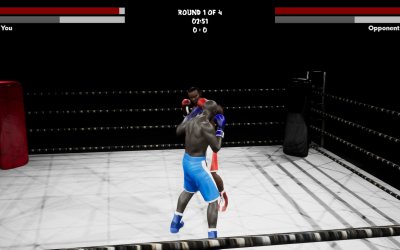 Boxing Simulator