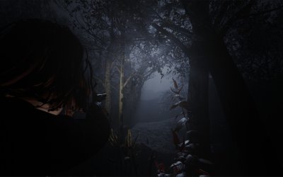 Cult of Dawn