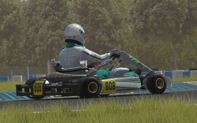 Kart Racing Pro