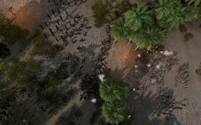 Rise of Piracy